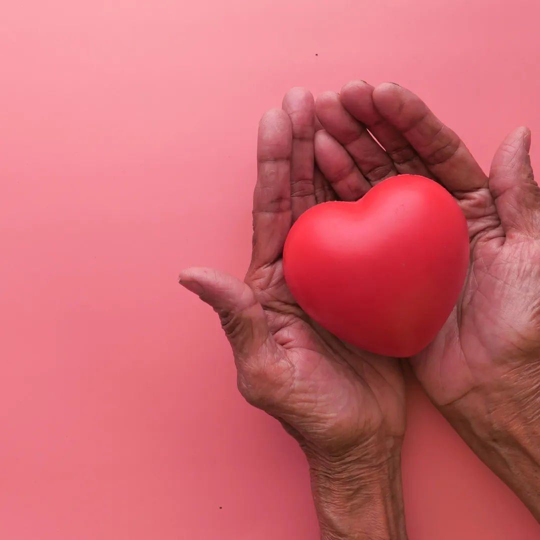 Elderly hands holding a red heart — community care in Centurion